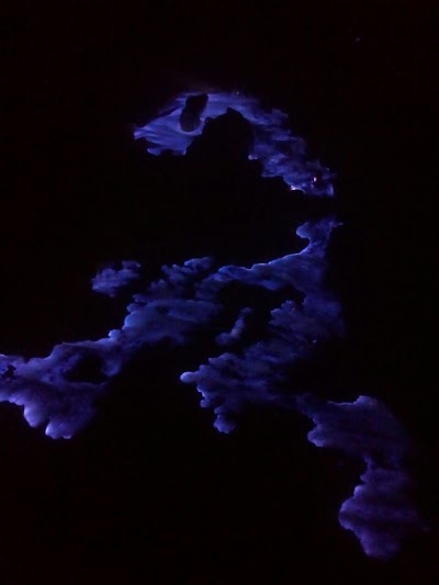 Photos of Ijen Blue Fire Tour