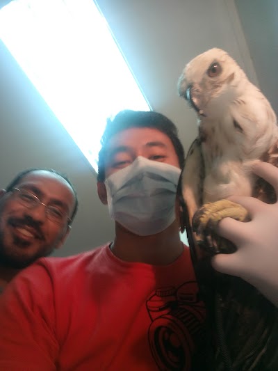 Photos of Elnemr veterinary clinic