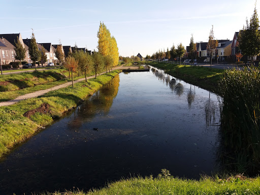 Zwaag, Hollandse Cirkel