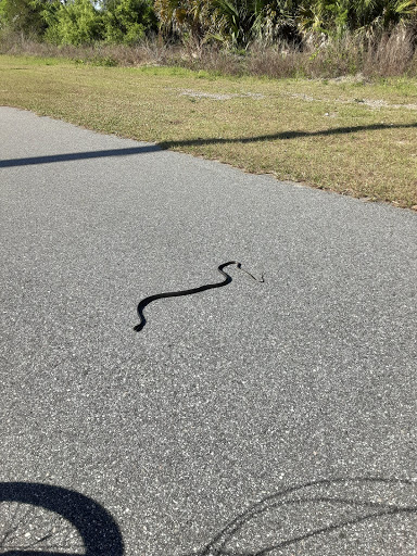 Aurantia Road Trailhead Gallery - United States