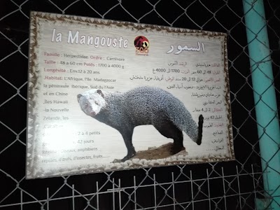 zoo