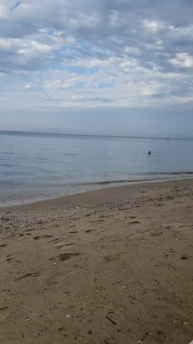 Opinii despre TUNTUR Beach Garden în Μουδανιά - Καφετέρια