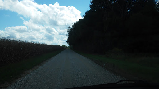 Ross Camp - Visual