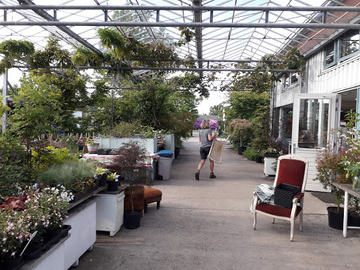 Plantentuin Esveld - Thumbnail