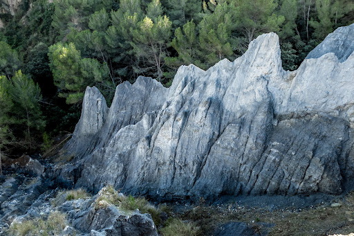 Les Ribes Blaves