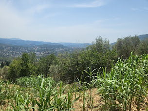 Photo n°7 de Bergeron immobilier à Le Cannet (Promoteur immobilier)