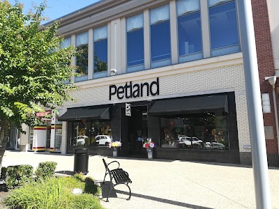 Petland Rogers ?