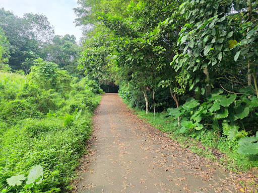 Ulu Sembawang Sunrise Viewing Point - Thumbnail