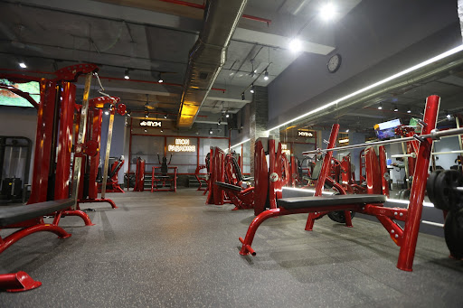 Iron Paradise: Best Gym in Malad | Gym in Kandivali | Fitness Center