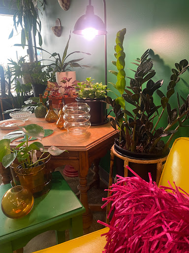 Emerald Design - Visual