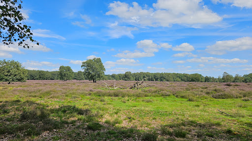 Parkeerplaats Natuurgebied Springendal