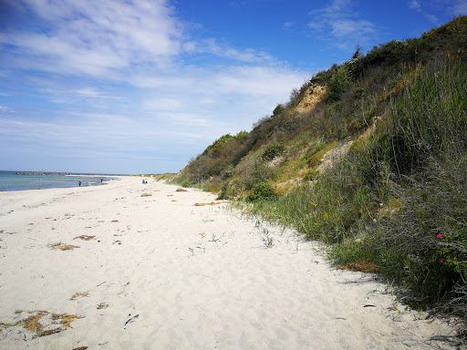 Rostock Heath and Wallbach - Thumbnail