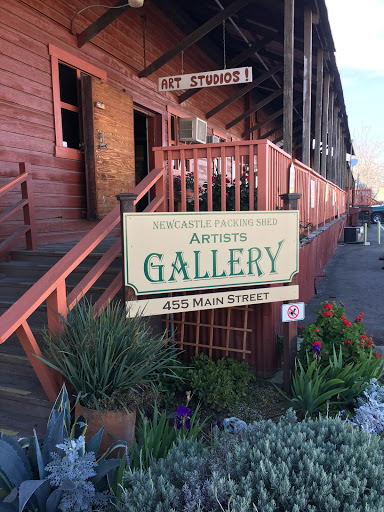 Newcastle Packing Shed Artists Studio & Gallery