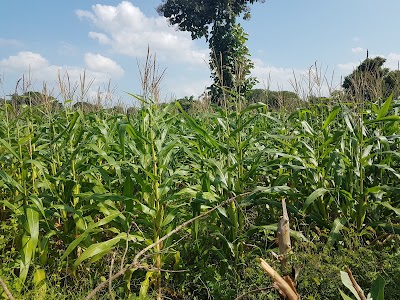 Photos of Kaluthavalai Beach