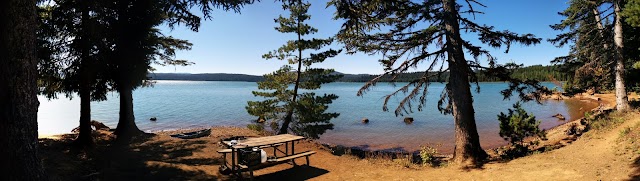 Timothy Lake