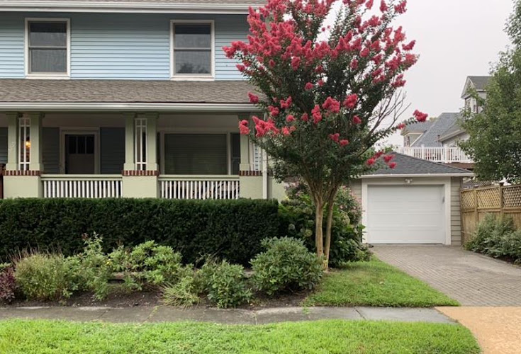 Kendy's Tree Trimming Service