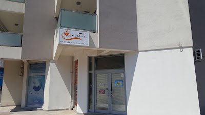 Photos of Fox Travel