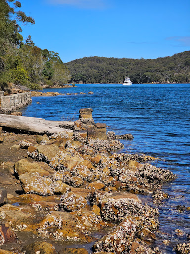 The Bay Track