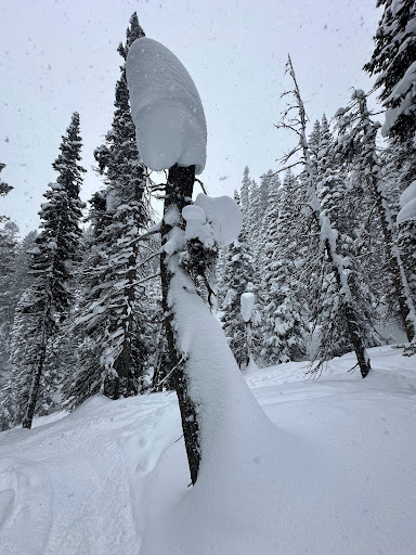 Jackson Hole Mountain Resort Aerial Tram Trailhead - Thumbnail