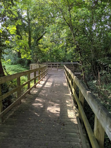 Fletcher Park - Thumbnail