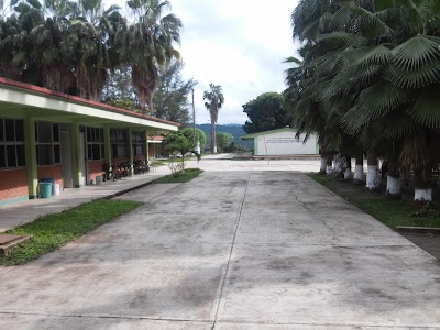school