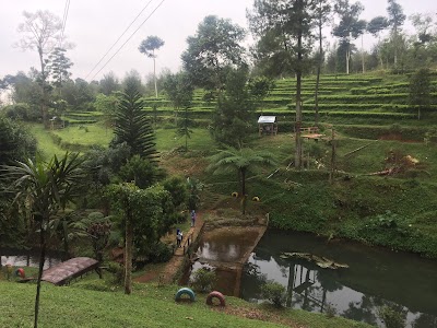 Photos of Wisata Perkebunan Teh Pagilaran Kaliboja Paninggaran