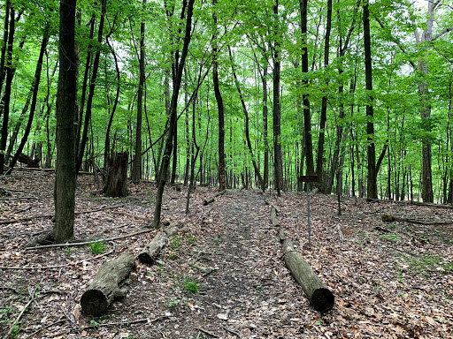 Forest Hills Trail