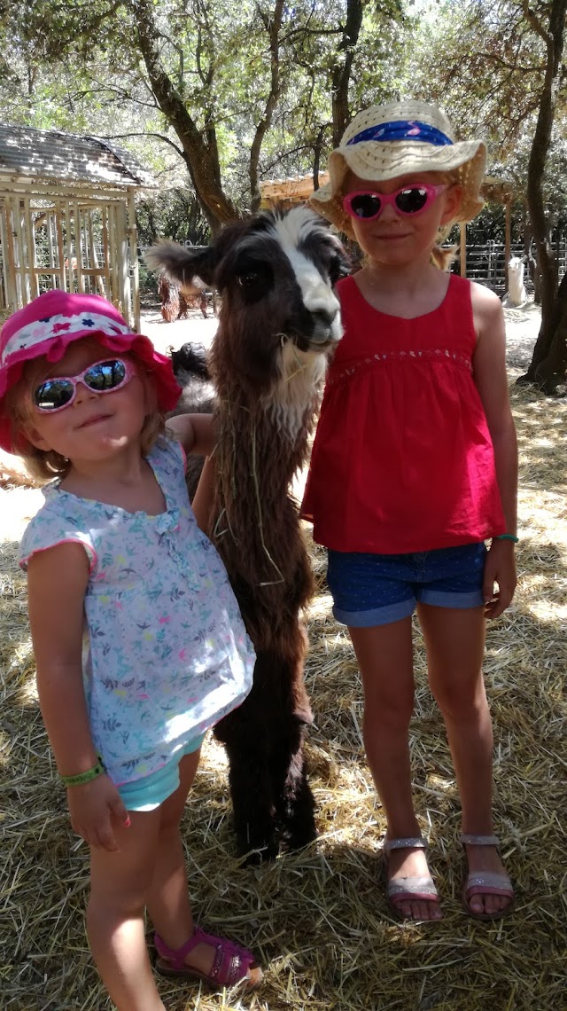 Ardèche Lamas