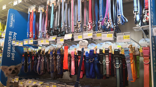 BestMarket Gallery - Italy