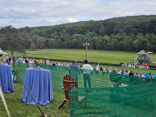 Shawan Downs - Visual