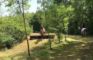 Photo n°8 de Ponte F SARL à Crevant (Centre équestre)