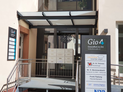 Gio4 - Visual