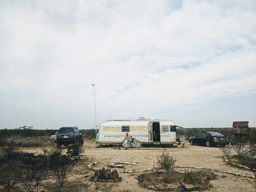 Ocotillo - Visual