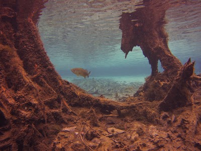 Photos of Morrison Springs State Park