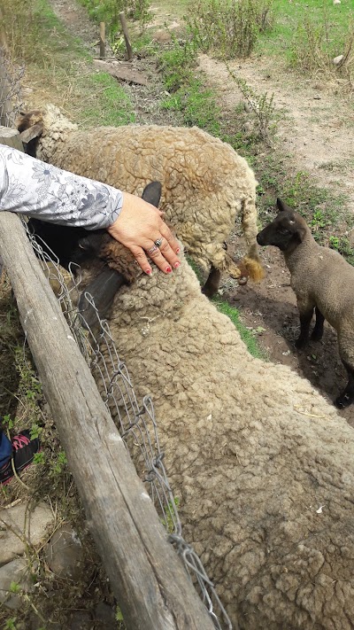 Photos of Los Pinos de Bordel