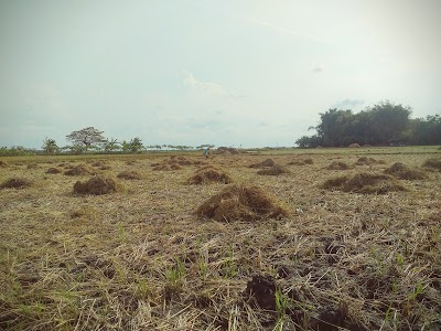 Photos of Stadion Cungkup Fc