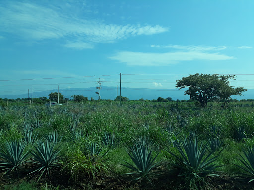 Puesto De Hamburguesas El Pirata - Thumbnail