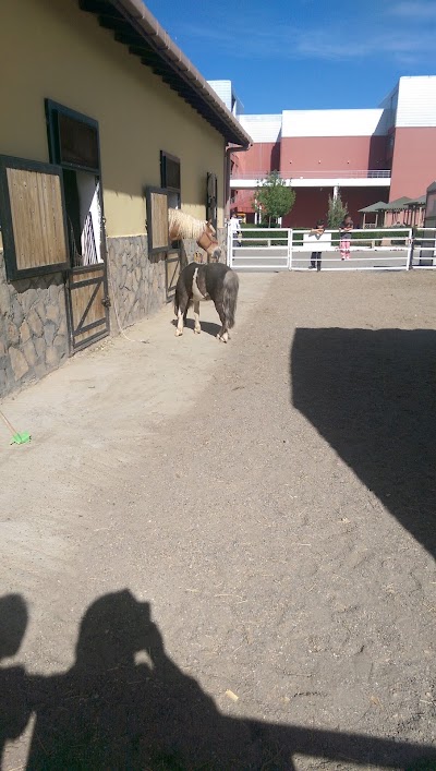 Photos of DIYARBAKIR HIPODROMU
