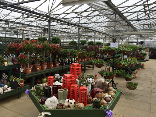 Glenside Nurseries Ltd