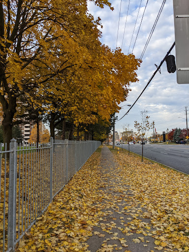 Steeles Ave West at Tangreen Crt Gallery - Canada