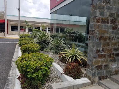 Photos of AVIS Rental Center