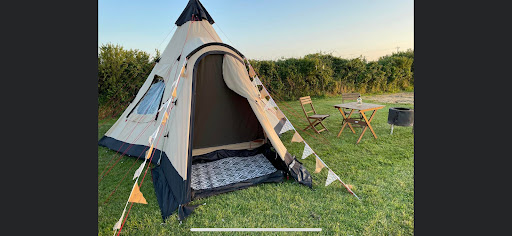 Cedar Camping - Visual