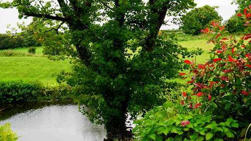 Jardineros Iberre en Bizkaia: contacto y ubicación en Bizkaia: contacto y ubicación