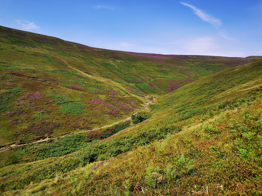 Kinder Downfall - Thumbnail
