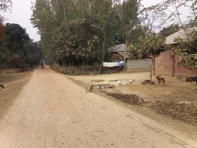 Photos of KHAN GARDEN