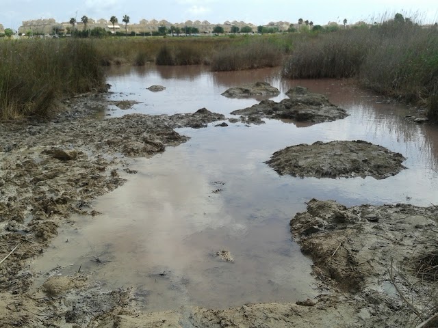 Parque natural de las Lagunas de La Mata y Torrevieja