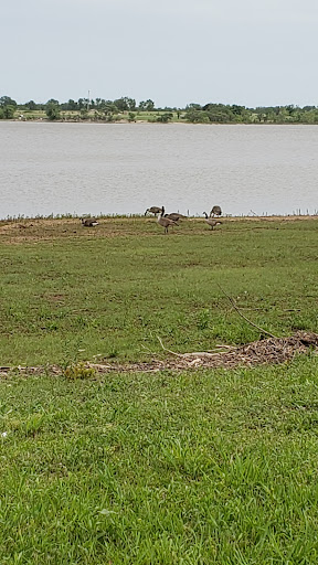 El Dorado Lake - Bluestem Point Area - Sunflower Meadow - Thumbnail