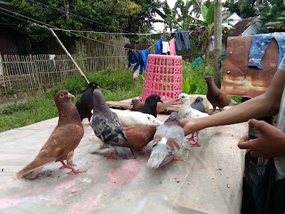 Photos of Produksi Sandal Tennar