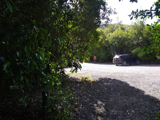 Waiohine Camping - Thumbnail