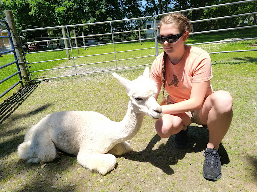 Robin Gilmore's Illusion Ranch Alpacas - Thumbnail